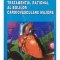 George I. M. Georgescu - Tratamentul rational al bolilor cardiovasculare majore (Editia: 2001)