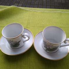 Set de cafea tete a tete, portelan Eschenbach Bavaria