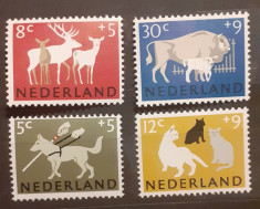 Olanda 1964 fauna , pisici,cerbi , caini, tauri 4v. Mnh, foto