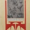 Broderii pentru decorarea locuintei - 1970 - Elisabeta Grigorescu (Q46)