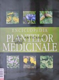 Cumpara ieftin Enciclopedia plantelor medicinale - 2000 (X103)
