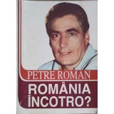 ROMANIA INCOTRO?-PETRE ROMAN-257962