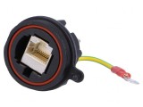Adaptor Ethernet 0,8m Buccaneer cu &Icirc;mpăm&acirc;ntare Aurit