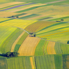 Vând 3 hectare teren agricol , comuna Unirea , județul Călărași