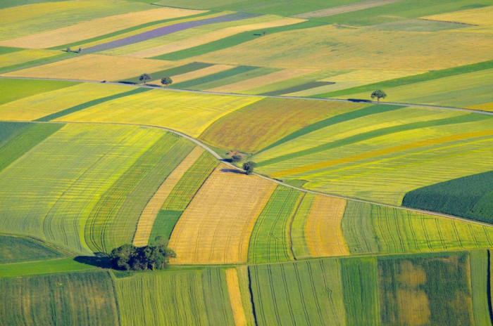 V&acirc;nd 3 hectare teren agricol , comuna Unirea , județul Călărași