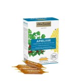 Apielixir Memorie si Concentrare 10 fiole x 10 mililitri Albina Carpatina, APICOLA PASTORAL GEORGESCU