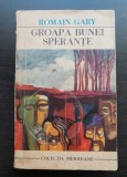 Groapa bunei speranțe - Romain Gary