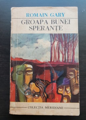 Groapa bunei speranțe - Romain Gary foto