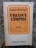 ERNESTO MIHAILESCU - URIASUL CAMPIEI