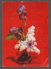 CPIB 20220 CARTE POSTALA - FELICITARE - LILIAC