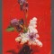 CPIB 20220 CARTE POSTALA - FELICITARE - LILIAC