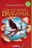 Cum sa-ti dresezi dragonul