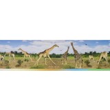 Bordura decorativa Zoo 547