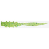 Good Meal Skinny 3.8cm Hot Lime Glow Chart 8buc, JACKALL