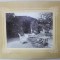 STUDIO I. ANTONOPULO , ODESSA , GRADINA IN SPATELE UNEI CASE DE ODIHNA , FOTOGRAFIE , INCEPUTUL SEC. XX