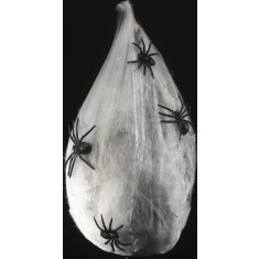 Sac Larve Paianjeni