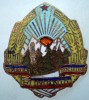 I.742 EMBLEMA COIFURA INSIGNA MILITARA CUC BASCA GP GARZI PATRIOTICE