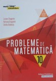 Probleme de matematica. Clasa a 10-a - Lucian Dragomir, Adriana Dragomir