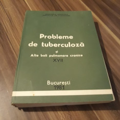 PROBLEME DE TUBERCULOZA SI ALTE BOLI PULMONARE CRONICE XVII 1981/408 PAGINI