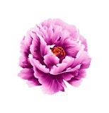 Cumpara ieftin Sticker decorativ, Floare, Roz, 57 cm, 6362ST
