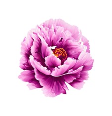 Sticker decorativ, Floare, Roz, 57 cm, 6362ST foto