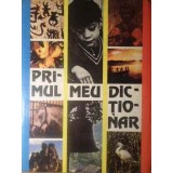 PRIMUL MEU DICTIONAR-EMIL BURLACU, LIDA CODREANCA SI COLAB.-228616