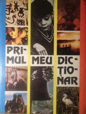 PRIMUL MEU DICTIONAR-EMIL BURLACU, LIDA CODREANCA SI COLAB.-228616 foto