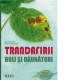 Trandafirii. Boli si daunatori - Heinrich Beltz, Dietrich Woessner