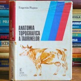 Anatomia Topografica a Taurinelor - Eugeniu Paștea - Ed. Ceres - Zootehnie, 1988, Practicum, Stare Buna