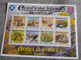 SCOTLAND FLORA SI FAUNA MINI COALA DUBLU SUPRATIPAR ARGINT