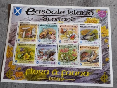 SCOTLAND FLORA SI FAUNA MINI COALA DUBLU SUPRATIPAR ARGINT foto