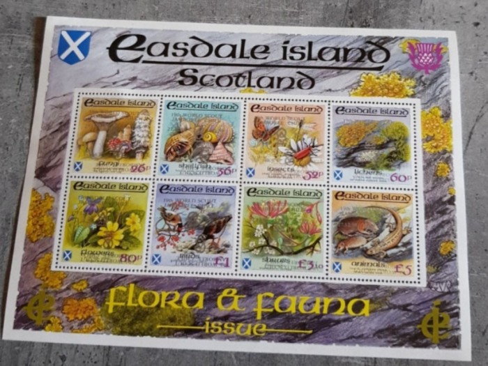SCOTLAND FLORA SI FAUNA MINI COALA DUBLU SUPRATIPAR ARGINT