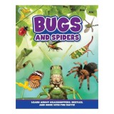 Bugs and Spiders
