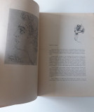 Antoaneta Bodisco La apus de cuvant ilustratii Eugen si Tudor Dragutescu
