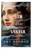 Ce știe doar v&acirc;ntul - Paperback brosat - Amy Harmon - Bookzone