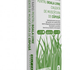 Test rapid pentru boala Lyme, 1 bucata, Self Care