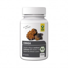 Chaga bio 400mg, contine Vitamina C foto