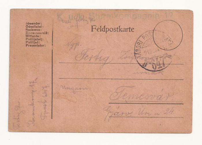 D2 Carte Postala Militara k.u.k. Imperiul Austro-Ungar ,1918 , Temesvar