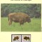 Lituania 1996 - Zimbrul Bonasus, Set WWF, 6 poze, MNH, (vezi descrierea)