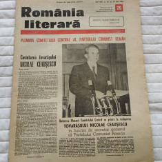 Ziarul ROMÂNIA LITERARĂ (29 iunie 1989) Nr. 26