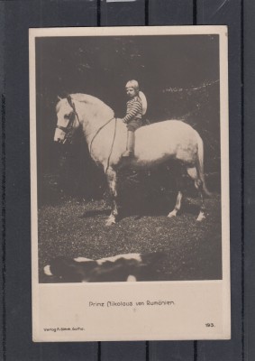 CASA REGALA ROMANA PRINTUL NICOLAE foto