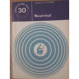 NEUTRINUL-GABRIELA OCHIANA-229021