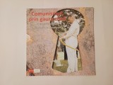 Dan Constantin; Paul Bardașu - Comunismul, prin gaura cheii: fotografii inedite dinainte de Revoluție