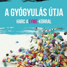 A gyógyulás útja - Harc a Lyme-kórral - Porochista Khaoukpur