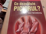 CE DEZVALUIE PICIORUL - AVI GRINBERG, TEORA,1999,264 P