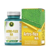 ARTRO-FLEX HA 60CPS