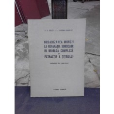 ORGANIZAREA MUNCII LA REPARATIA SONDELOR IN BRIGADA COMPLEXA DE EXTRACTIE A TITEIULUI - G.B. CULIEV