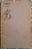 Elegii - Tibul