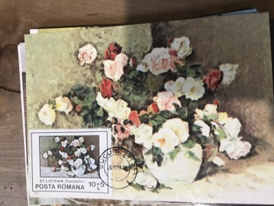 CPIF Prima zi flori foto