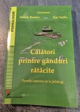 Calatori ptrintre ganduri ratacite povestiri autentice de la psihologi Steliana Rizeanu